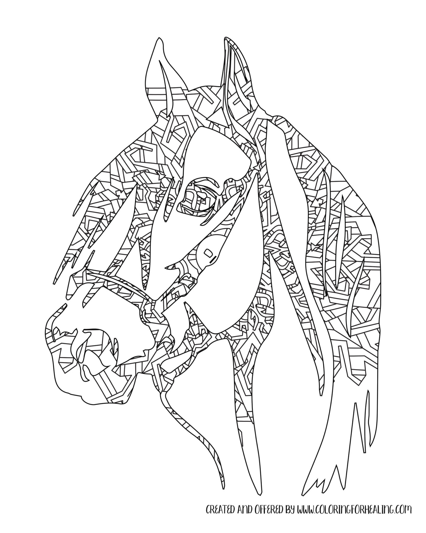 Free Printable Fun Intricate Mandala Horse Head Adult Coloring Page - Coloring For Healing